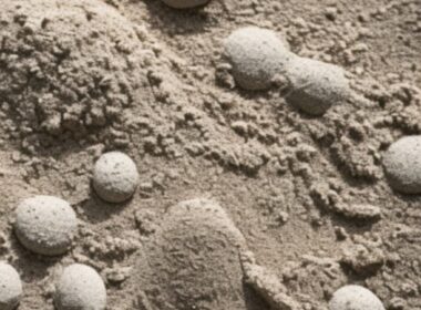 Dlaczego do cementu dodaje się piasek?
